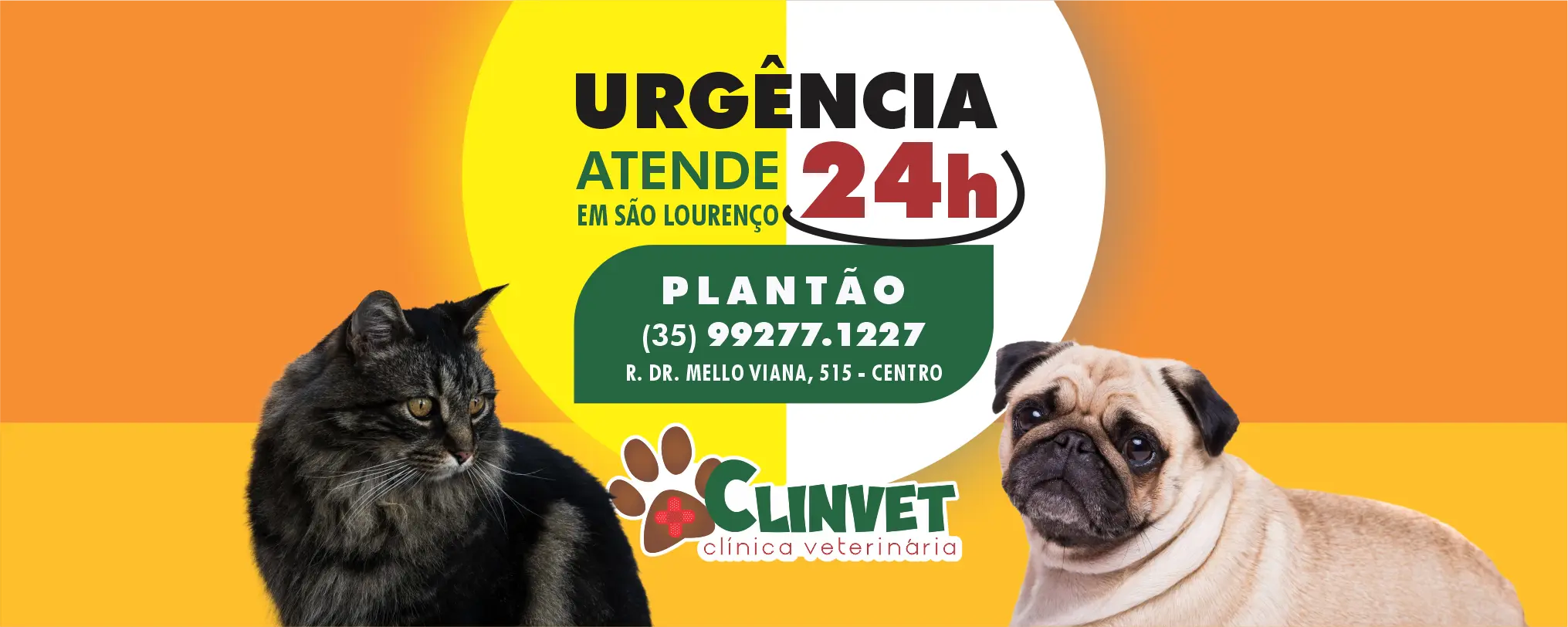 Cachorro e gato felizes