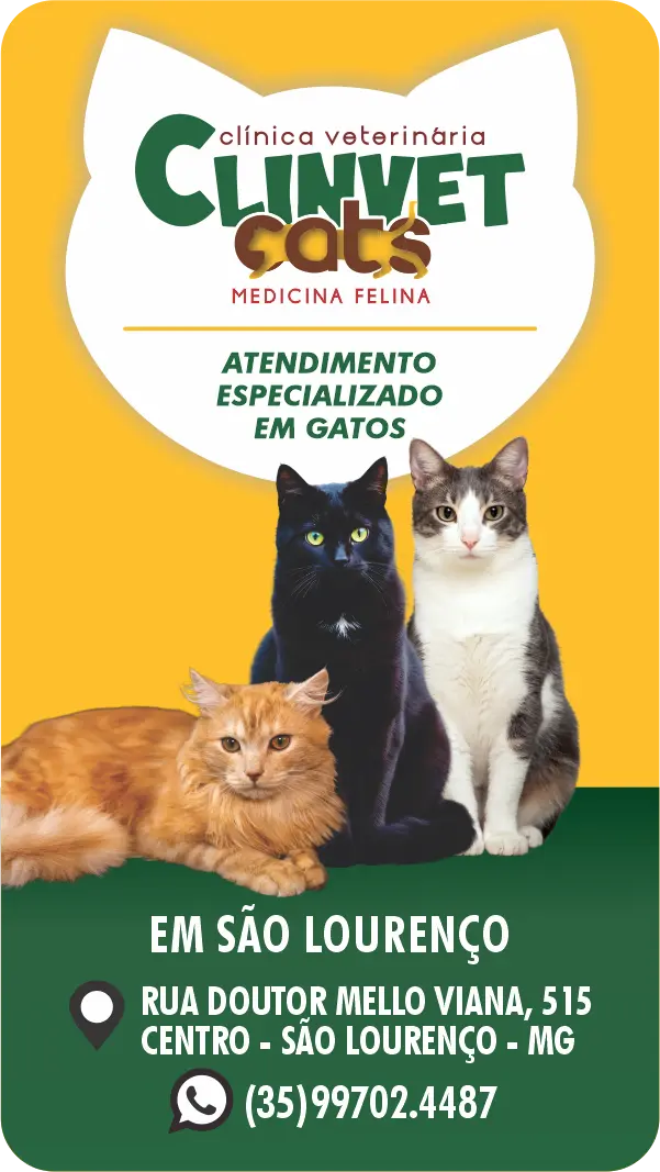 Serviços